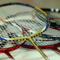 Mauris placerat eleifend leo erat volutpat